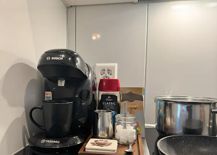 Im Zentrum St Gallen Lägenhet